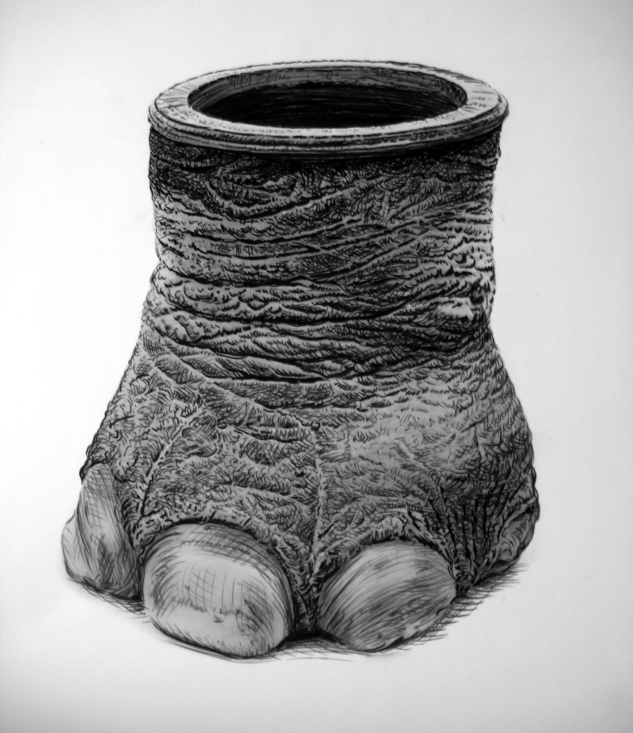 ELEPHANT FEET Rick Shaefer